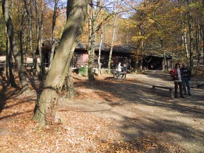 Naturpark im Herbst