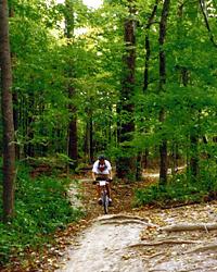 Mountainbiker