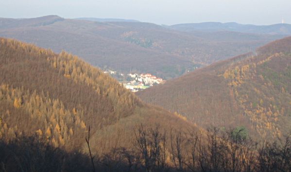 Aussicht auf Purkersdorf