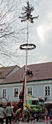 Maibaum