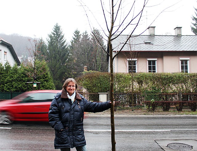 Christiane Maringer - Herbstzeit ist Pflanzzeit