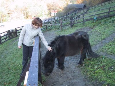 Naturpark im Herbst