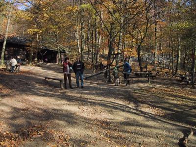 Naturpark im Herbst