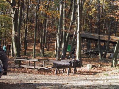 Naturpark im Herbst