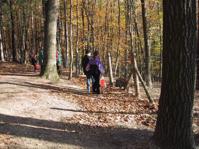 Naturpark im Herbst