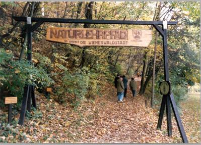 Naturpark im Herbst