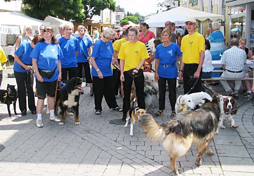 Hunde Sport Schule