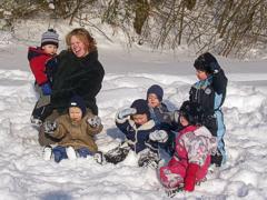 Wald im Winter