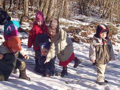 Wald im Winter