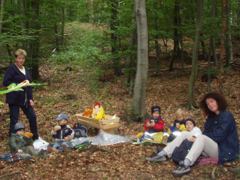 Wald im Herbst